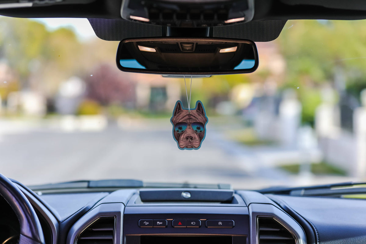 Fresh Fresheners - Pit bull With Sunnies Air Freshener Pack of 12